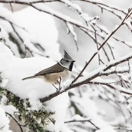Beautiful In Steinsholt With Sauna Ferienhaus